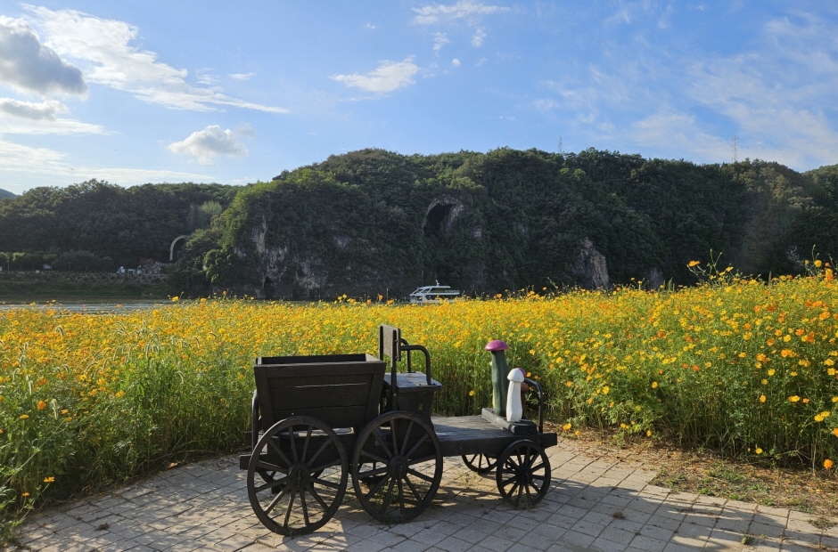 2024 가을 여행지 단풍 명소 추천