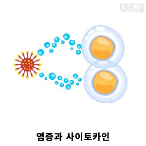 빈혈 원인 만성 질환