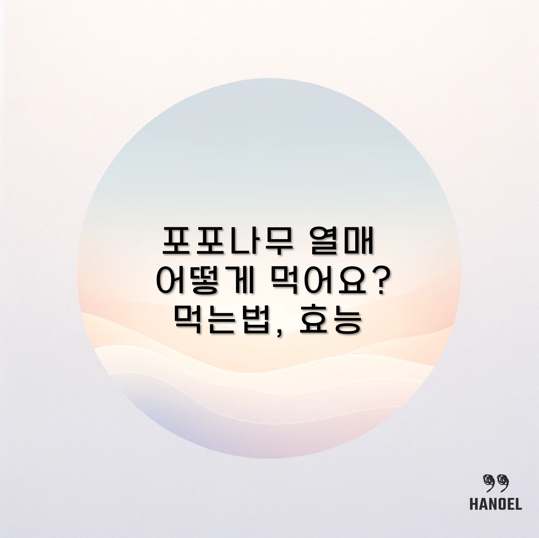 포포나무 열매 어떻게 먹어요? 먹는법, 효능