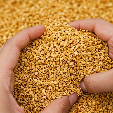 계절의 변화를 세분화한 24 절기 중 '처서' 이해하기