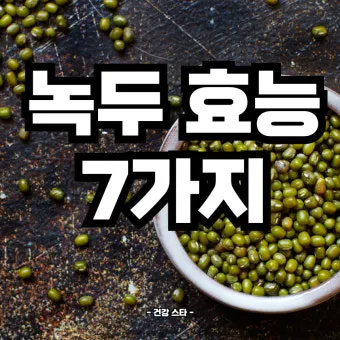 녹두 효능 부작용 녹두죽 끓이는법 칼로리 안내_5