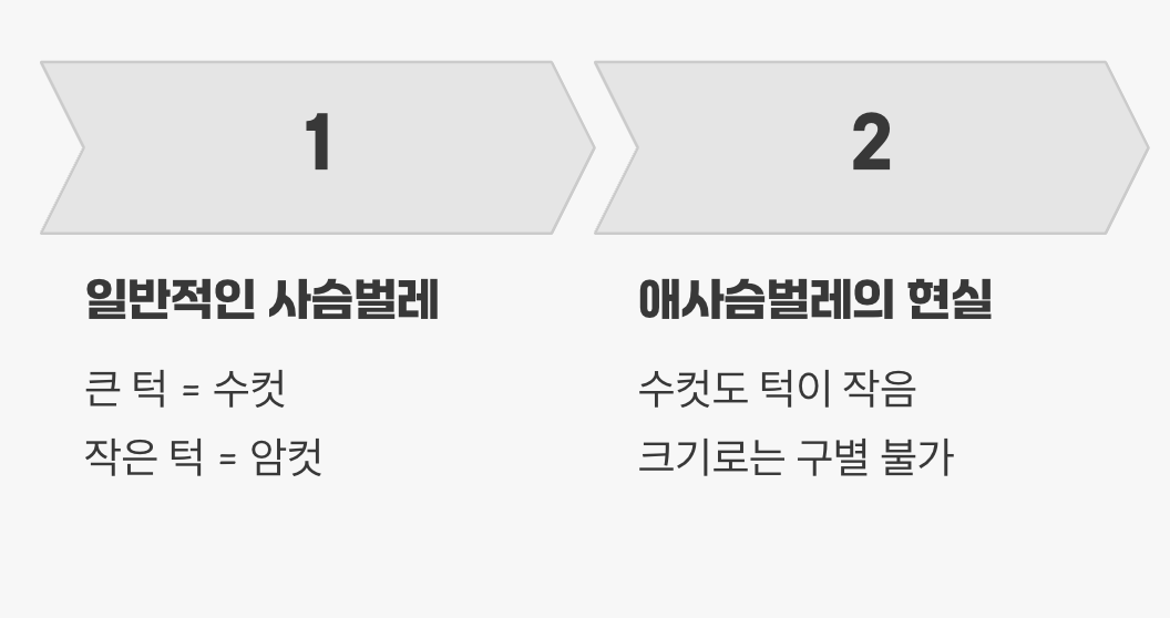 가장 큰 오해, "턱이 크면 수컷"