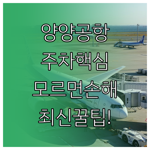 양양국제공항 주차장 운영 현황과 이용..