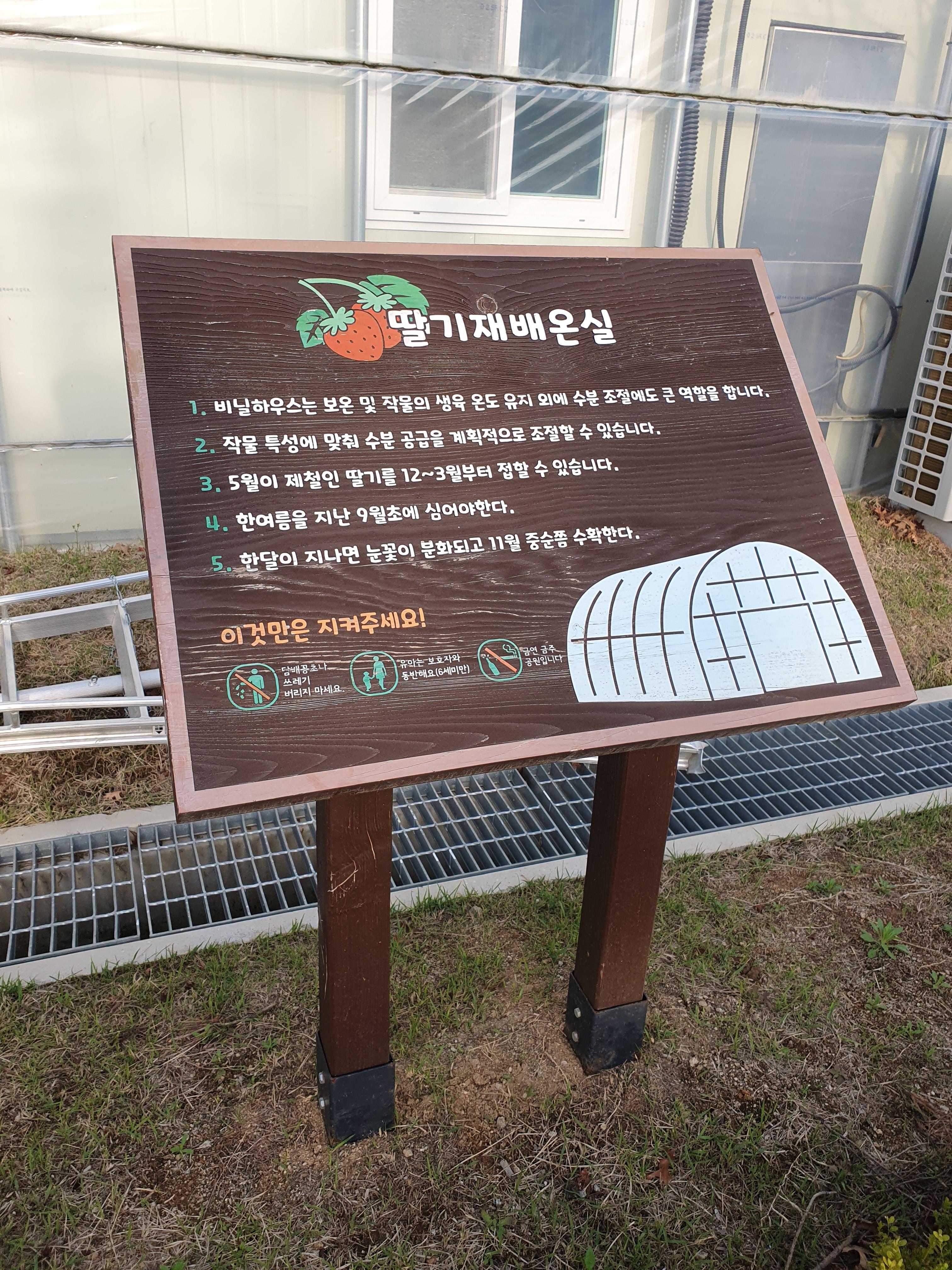 딸기재배온실은 따뜻해서 약간 쌀쌀하다고 느끼면 들어가시면 좋습니다