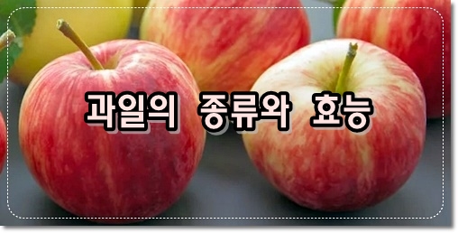 아침에 사과