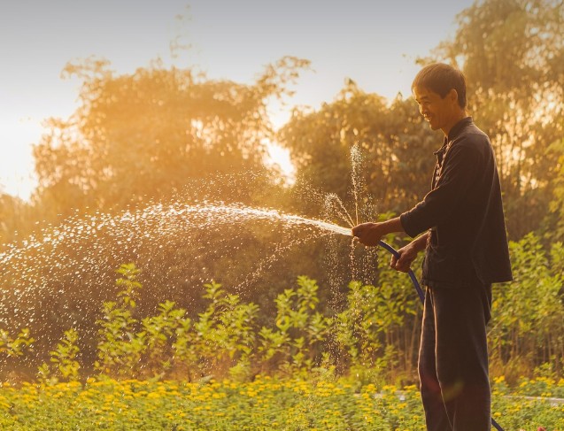오늘의 소소한 행복 관련 사진