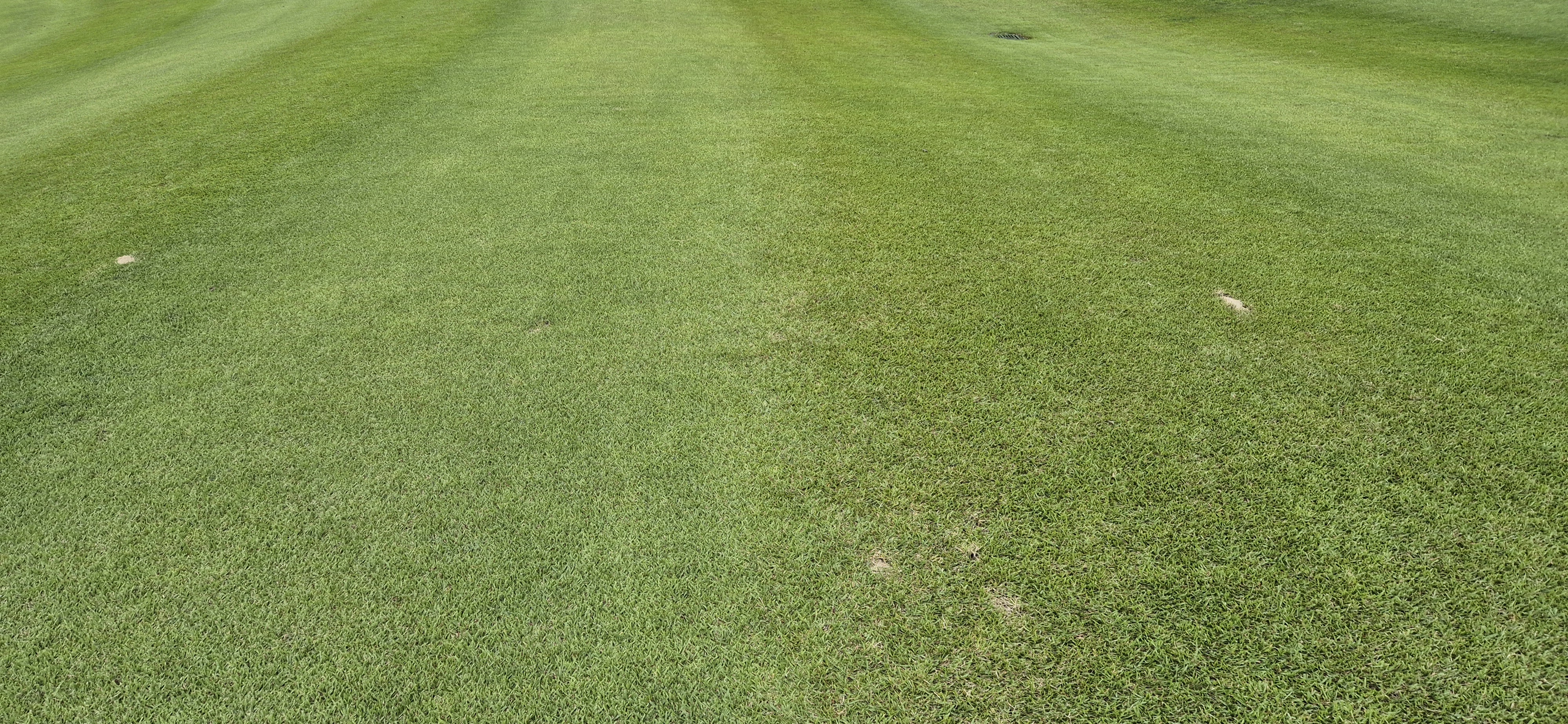 소노팰리체cc이스트