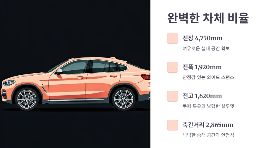 차체 크기