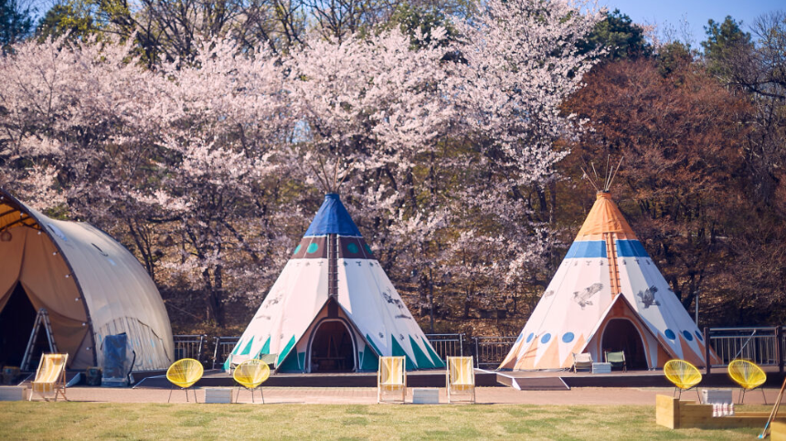 2025년 봄 여행 패키지 예약 완벽 가이드! 인기 여행지 &amp; 혜택 총정리