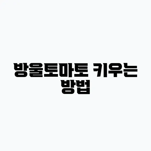 방울토마토 키우는 방법, 화분 분갈이 모종 키우기