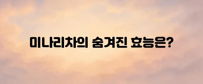 미나리차 효능 총정리 – 간 해독, 혈압 조절에 좋은 이유