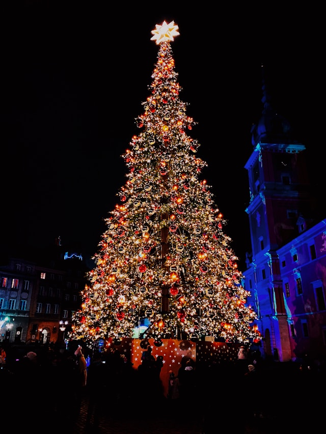 집들이 선물 고민 끝! 크리스마스까지 완벽한 아이템 7가지
