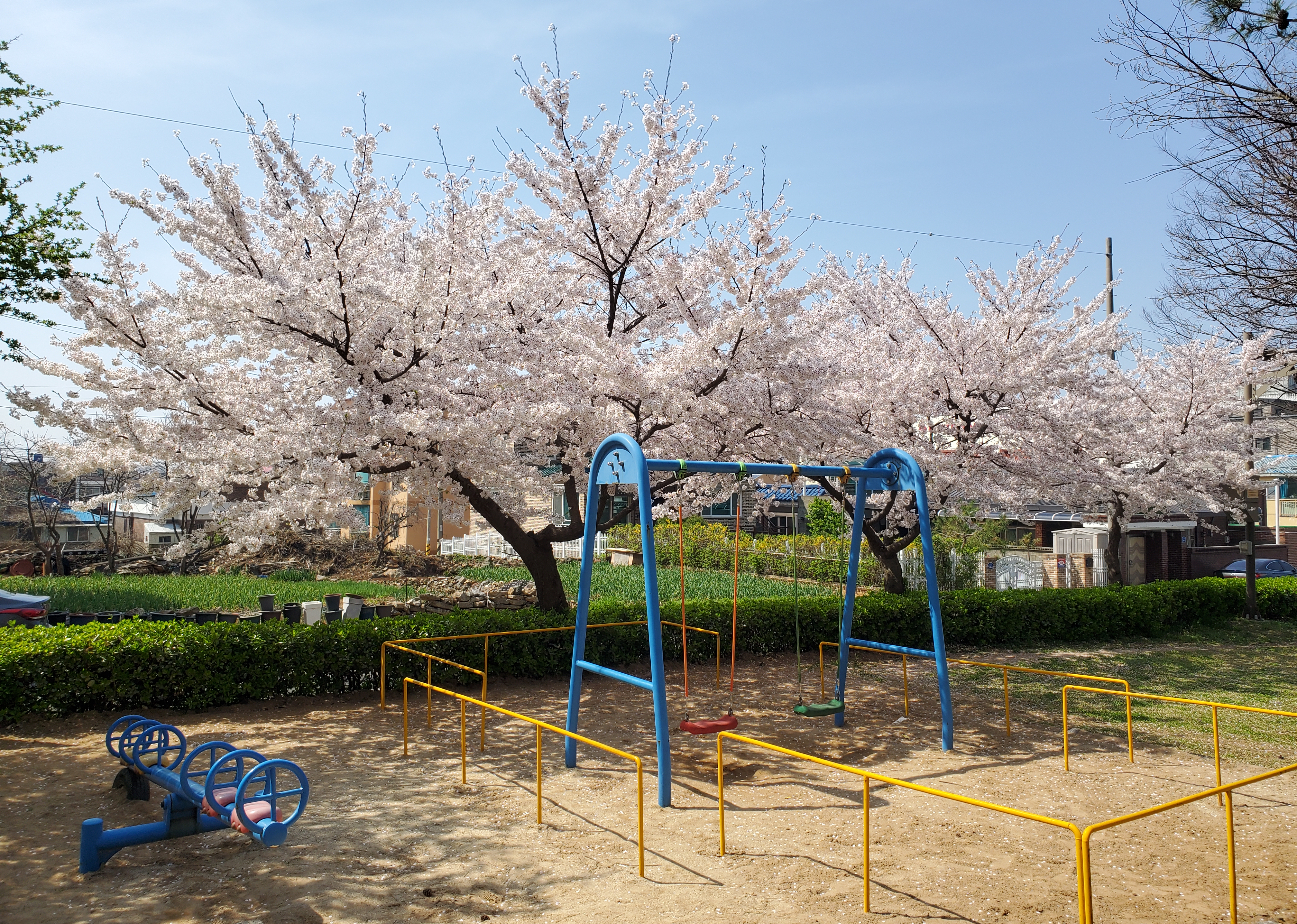 군산 동네 놀이터 사진