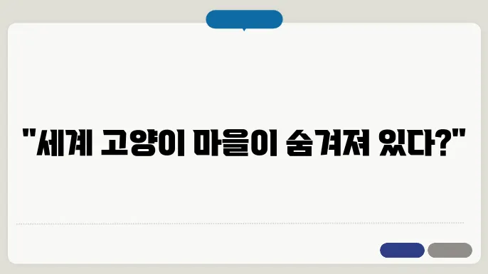 중국 시안먼의 고양이 마을