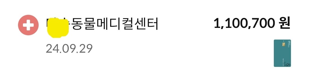 (은행원tip) 반려동물 펫보험 추천 비교사이트 BEST 4 알아보기