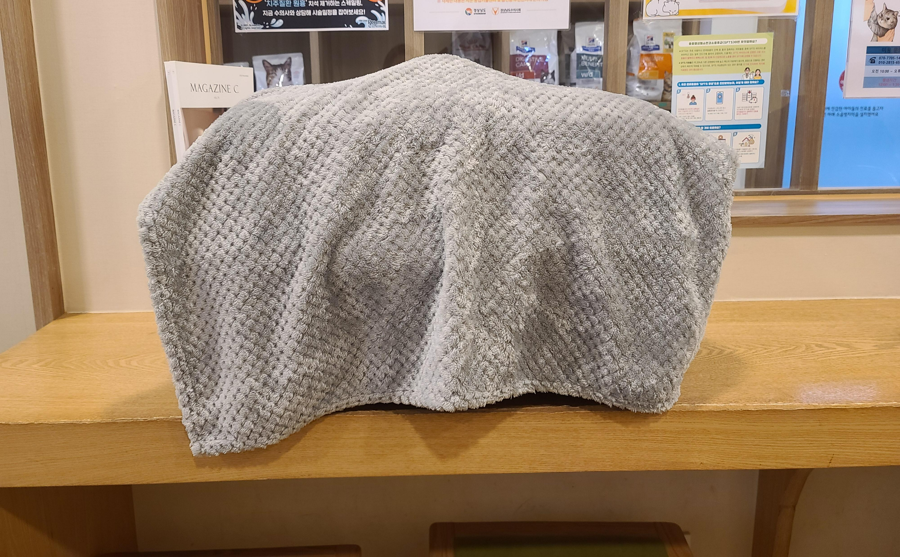 루디는 결국 병원행 ㅠ(feat. 혈액검사 결과)