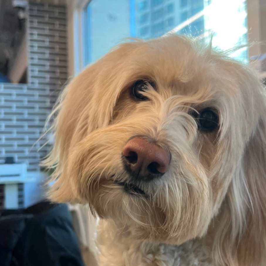 구독 상품 이미지 상세 2