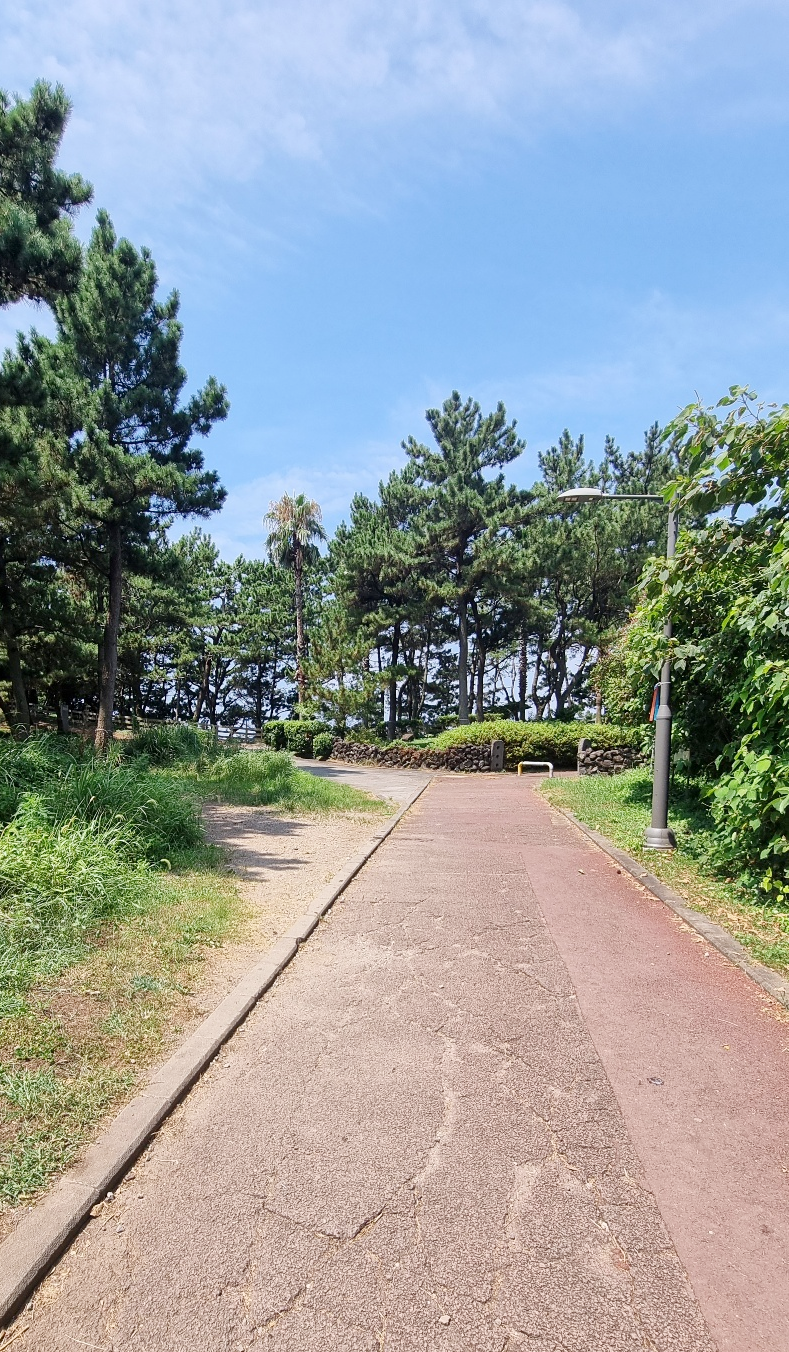 제주 도리빨