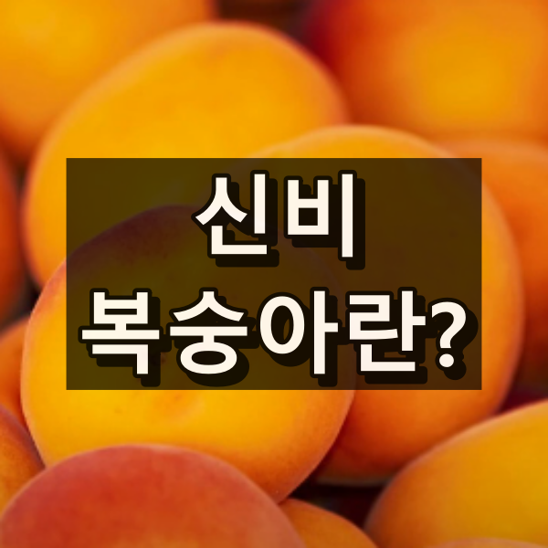 신비 복숭아란 대표 이미지