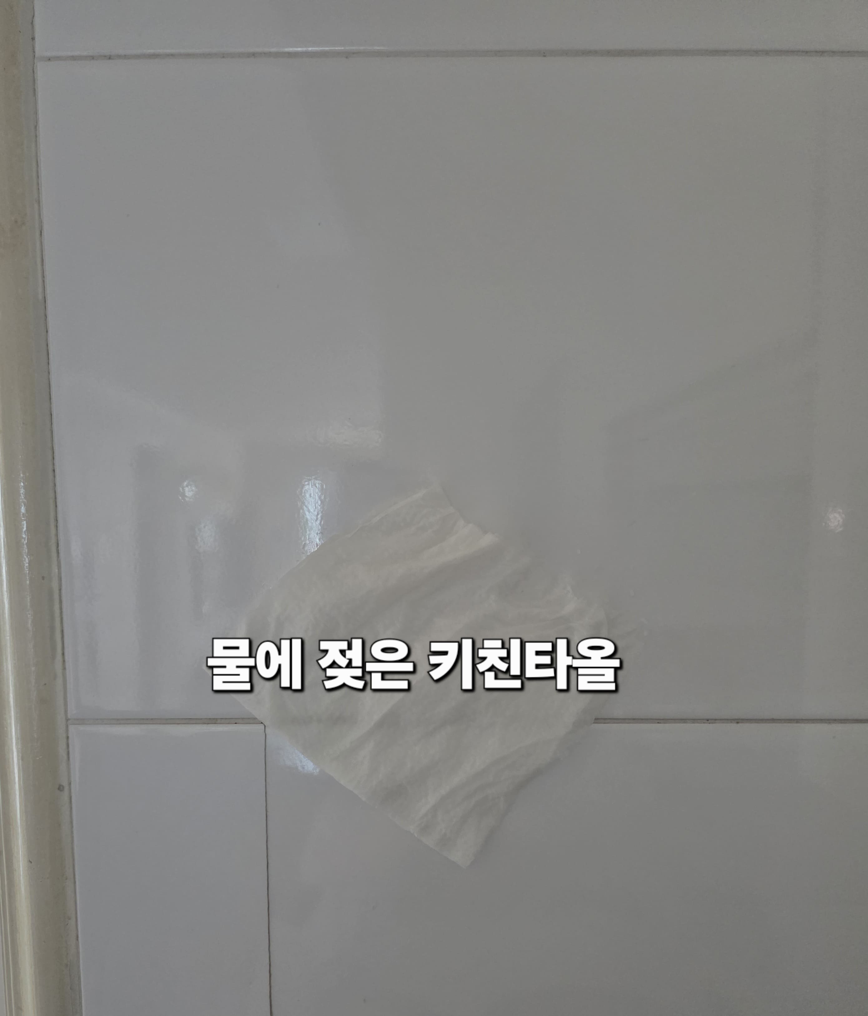 바퀴벌레-없애는법-잡는법-안내-그러면-물기-덕분에-키친타월이-바닥이나-벽면에-착-달라붙고,-이-상태에서-바퀴벌레를-덮음으로써-잡기-쉽습니다.