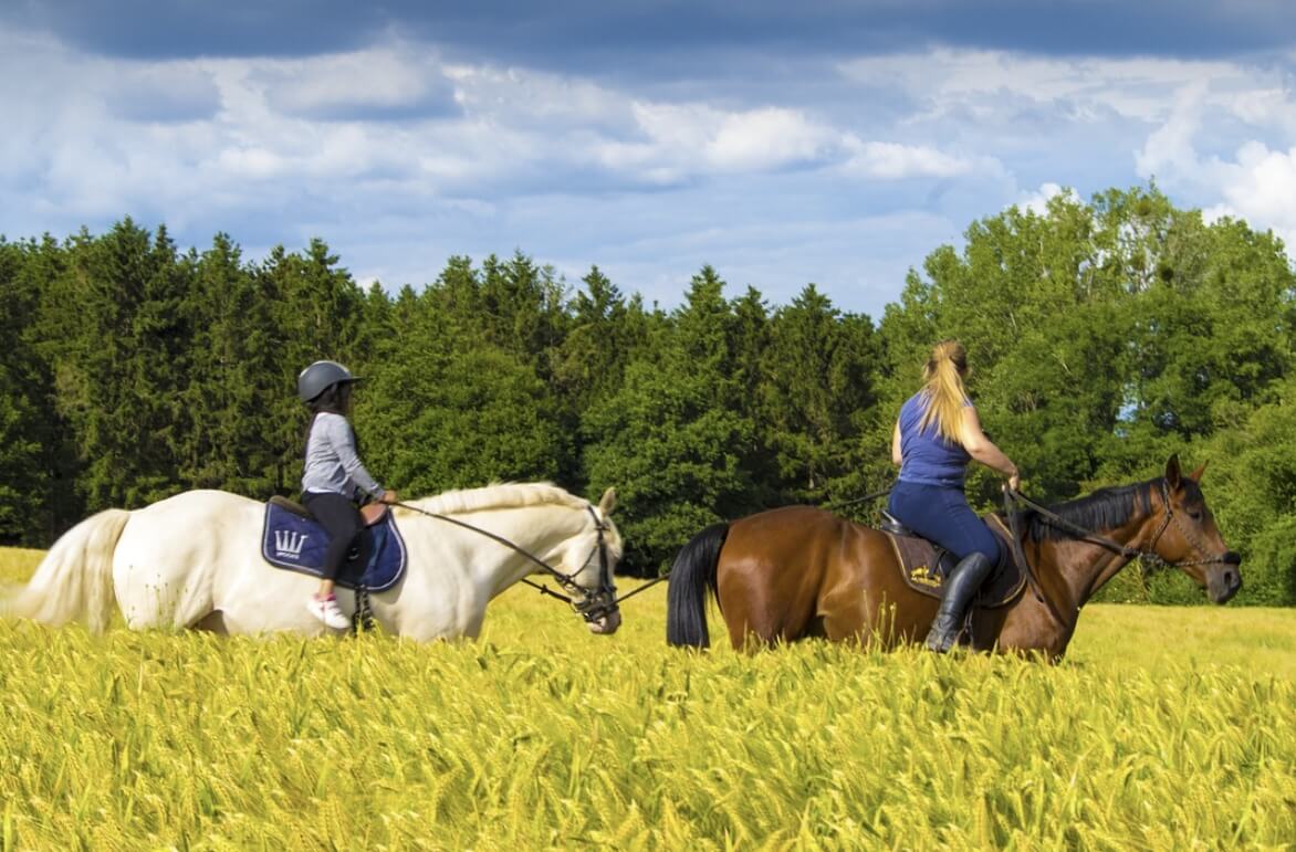 60대 여성 건강관리법