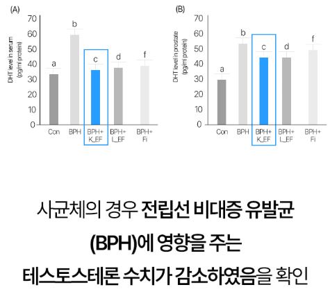 바로세움 유산균
