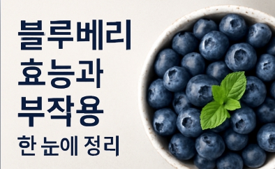 블루베리 효능 부작용 총정리