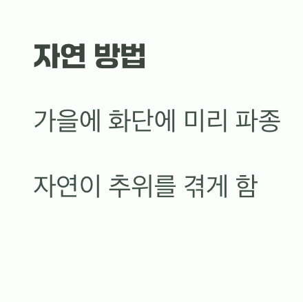 씨앗 파종, '겨울의 기억'이 필요해요