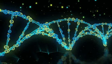 sk바이오팜 주가