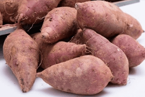 대장에 좋은 음식09