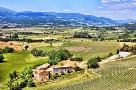 청도 프로방스 빛축제