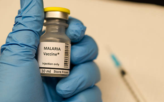 말라리아 증상, 예방접종, 모기 총정리 (2024ver)