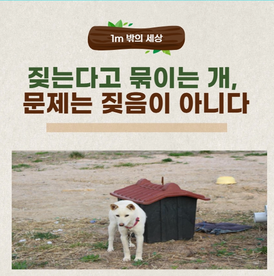 ‘개 짖는다’는 이유로 묶인 개, 정당한가? 방해가 아닌 언어로서의 짖음