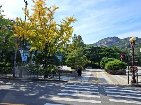 남산케이블카-단풍명소-남산타워가는법