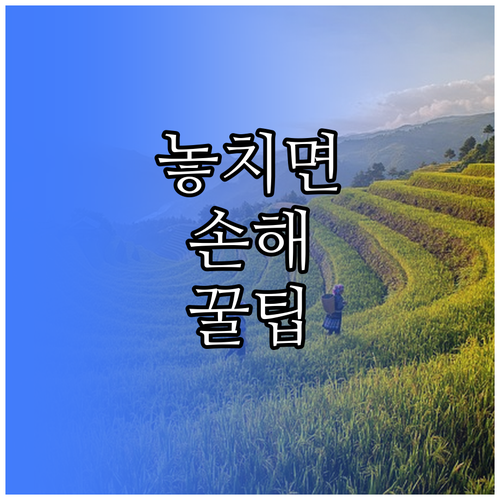 계란 삶는 시간부터 계란찜 비율까지,..