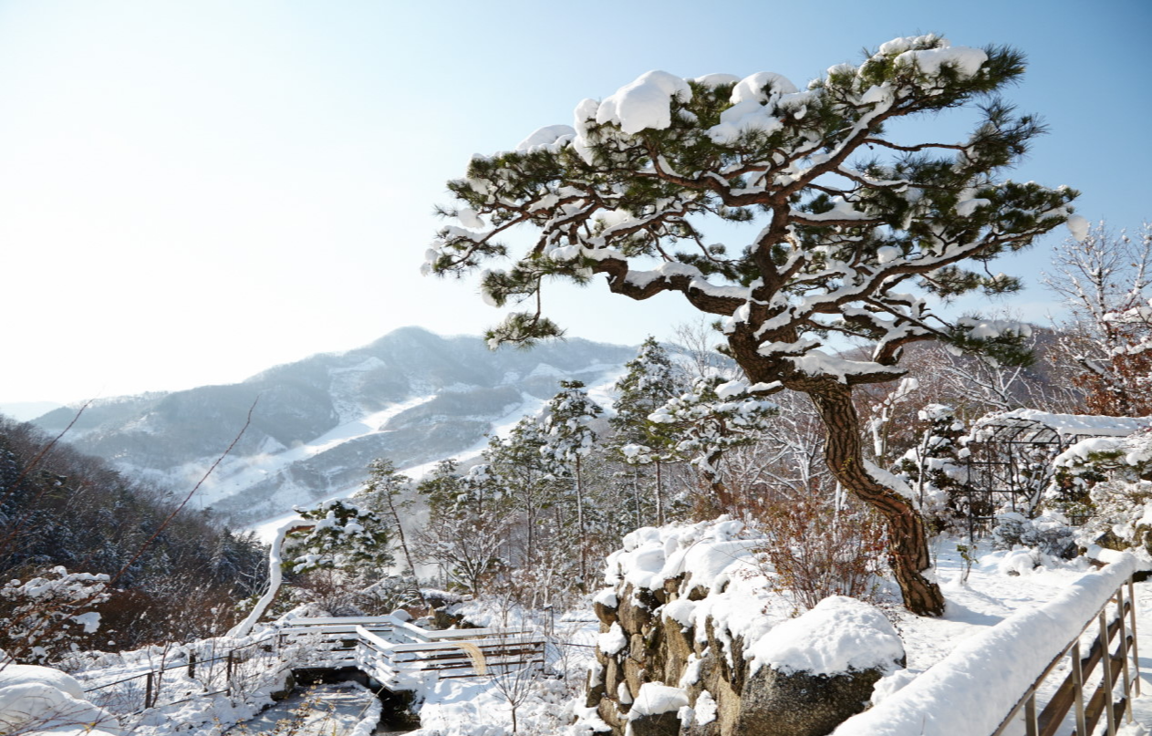 화담숲