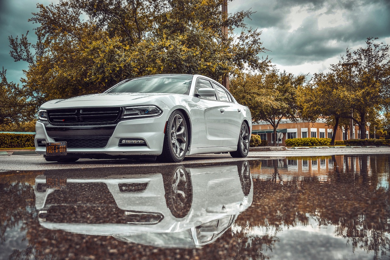 LPG 중고차 고를 때 체크리스트