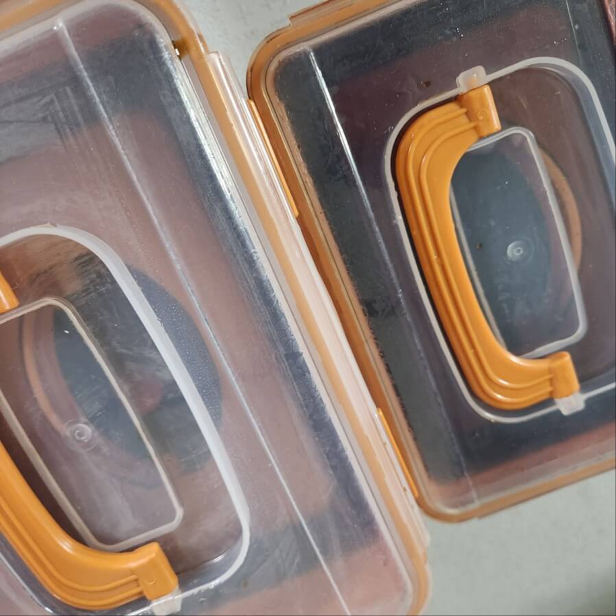 겨울 제주 무 간장 장아찌 만드는 법 효능 좋은 무 황금 비율