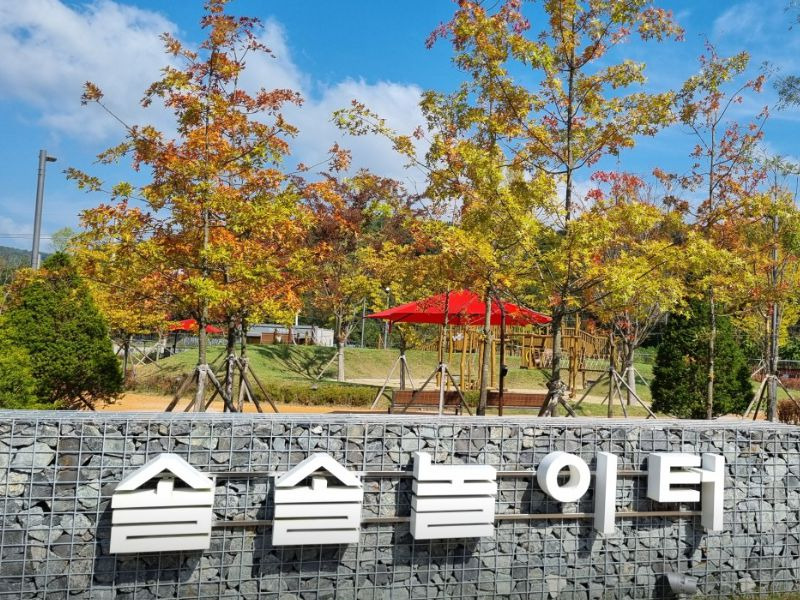 세종유아생태체험센터 솔솔놀이터