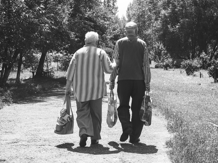 금융감독원 통합연금포털 완전정복 - 내 연금을 한눈에 확인하는 가장 정확한 방법