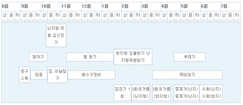 양파, 마늘밭 비료 추천 , 1차/2차 추비 방법, 웃거름 주는 시기, 비닐 걷기 일정 소개