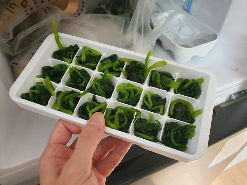 시금치 얼리기
