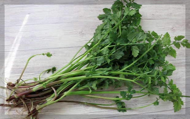 해독 칼륨 미나리