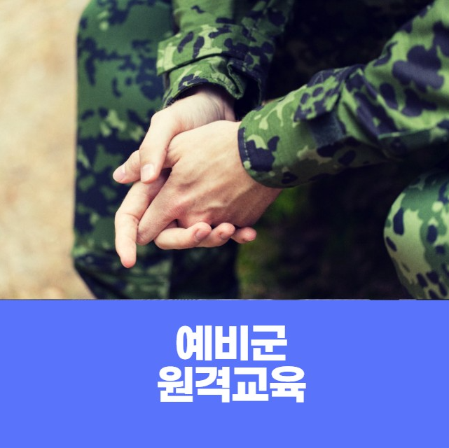 예비군 원격교육