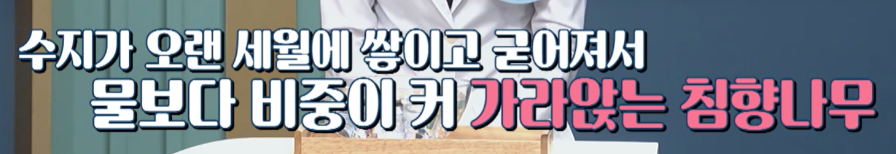 침향이란?
