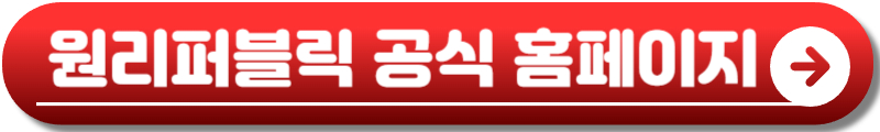 원리퍼블릭 내한