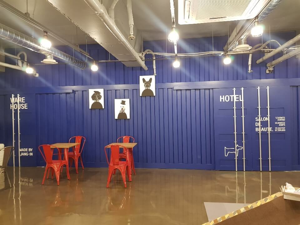 고양시 애견카페 추천 BEST 5 : 강아지와 함께 가기 좋은 실제 운영 카페 총정리
