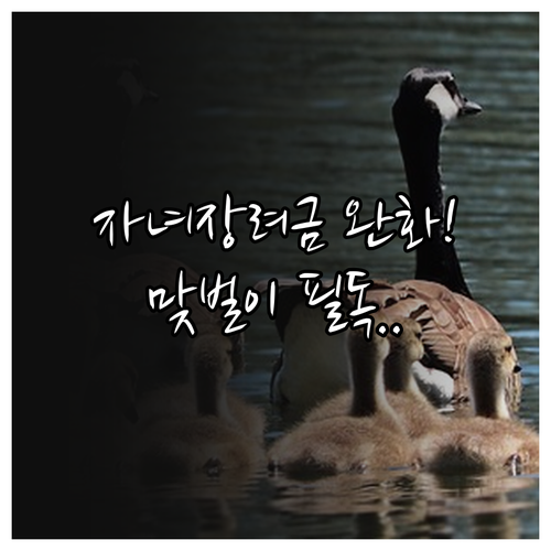 2026 자녀장려금 자격 요건 완화 ..