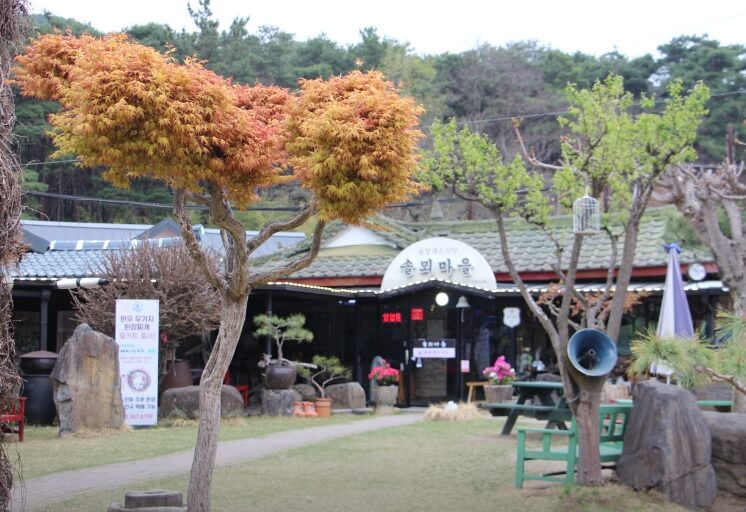 생생정보 할매 밥 됩니까 대구 옥포 시래기된장찌개 맛집 솔밭생수식당