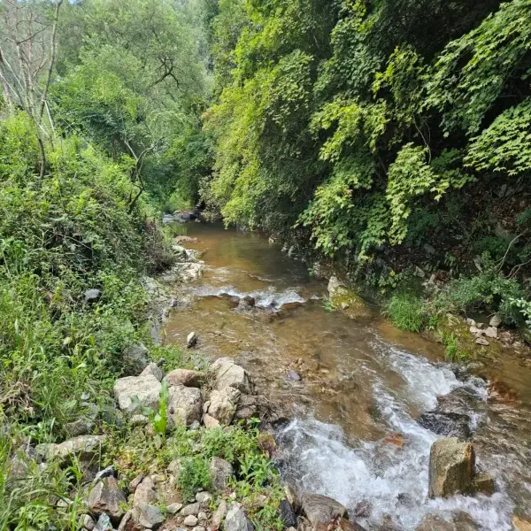서울 근교 여름 나들이